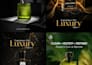 design facebook ad creative, social media posts, and instagram ads image